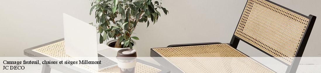 Cannage fauteuil, chaises et sièges millemont-78940 JC DECO
