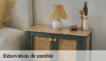 Rénovation de meuble saint-cyr-l-ecole-78210 JC DECO